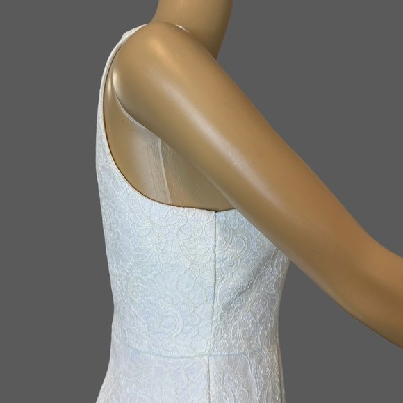 Francescas A-Line Dress Small S Off-White Full Lace Sleeveless Knee Length - Picture 4 of 13